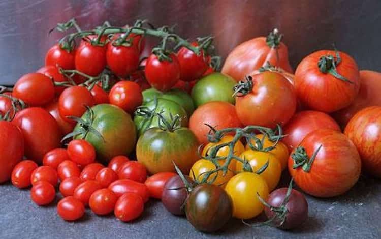 Чем полезны помидоры при грудном вскармливании