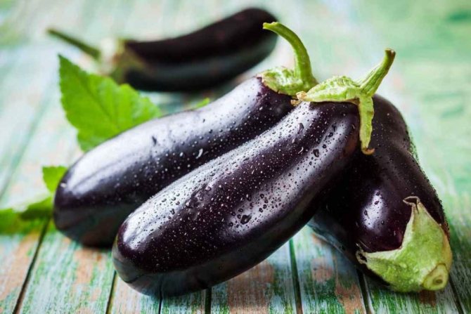 photo of eggplant