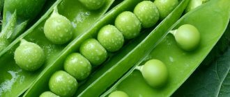 When can a child be given green peas?