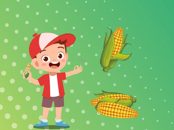 кукуруза для ребенка