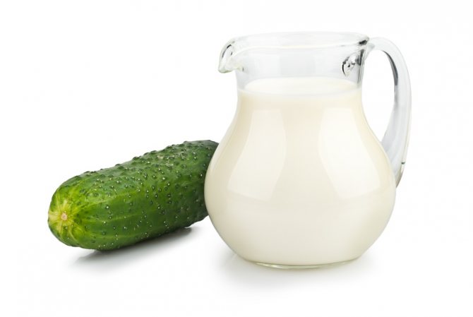 Несовместимые продукты: молоко и огурец