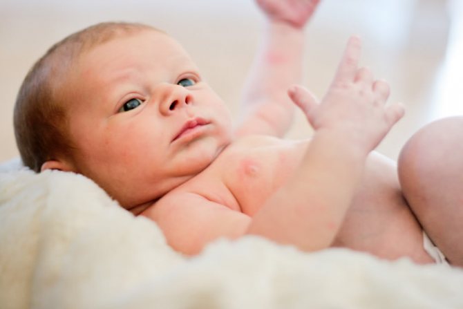 Новорожденный мало ест и плохо спит: почему грудничок отказывается от еды?