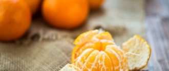 Are tangerines good for nursing mothers? Can they be eaten during breastfeeding? Rules of use and recipes 